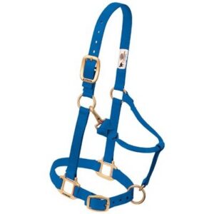 Horse Halters