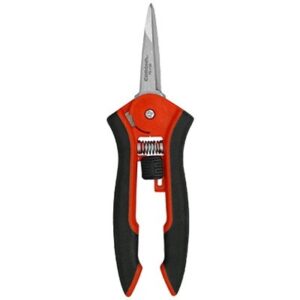 Floral Snips & Scissors