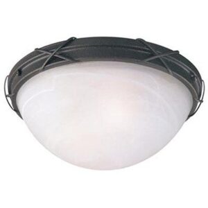 Outdoor Ceiling Lights