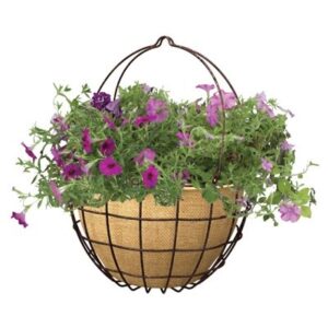 Hanging Baskets & Planters