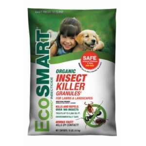 Insect & Disease Control