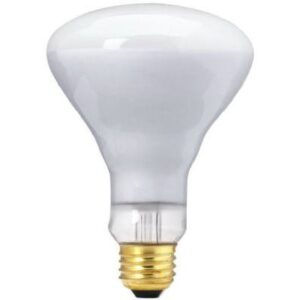 Flood & Spotlight Bulbs