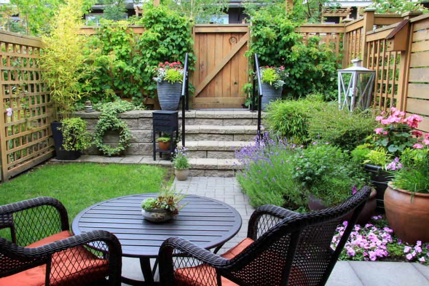 Backyard Privacy Ideas