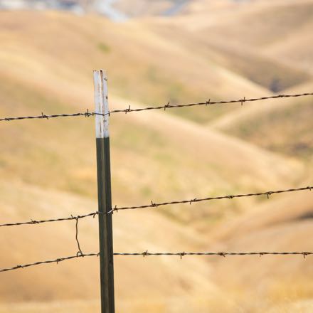 barbed wire fence