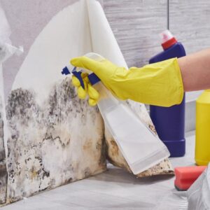 How to Remove Mold from Walls