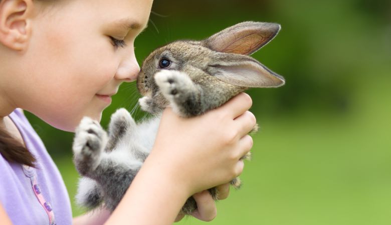 girl holding rabbit