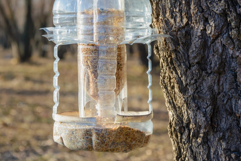 How to Make a Bird Feeder (Easy & Advanced Projects)