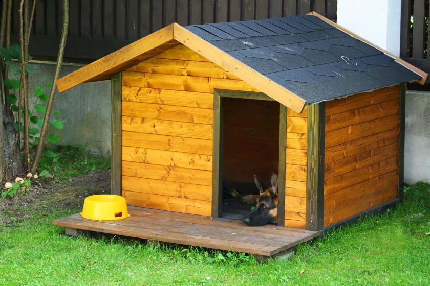 How to Build & Paint a Doghouse