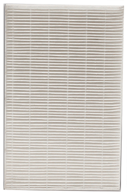 Replacement Air Filter, True HEPA