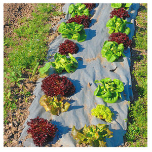 Landscape Fabric, Weed Block & Accessories