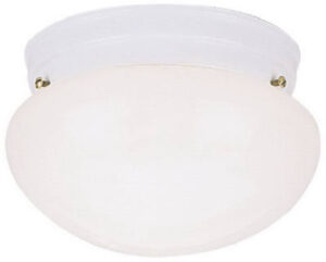 8-Inch Ceiling Light Fixture