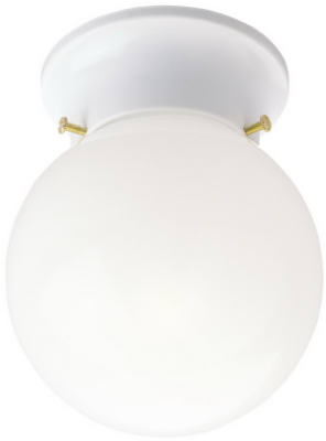 6-Inch Single-Light Ceiling Fixture