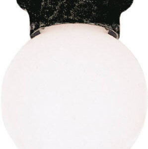 Outdoor Ceiling Lights