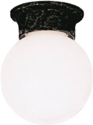 Outdoor Ceiling Lights