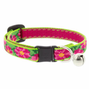 Cat Collars, Harnesses & Leashes