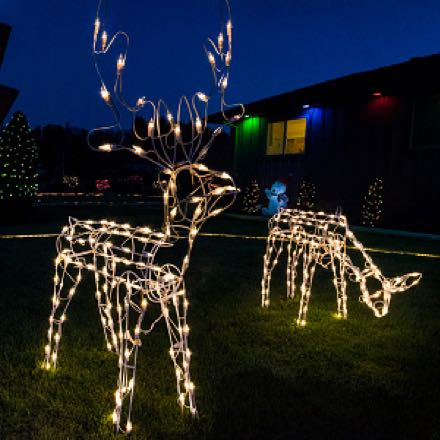 lighted reindeer
