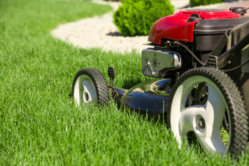 Lawn Mowing 101: Tips to Do It Right
