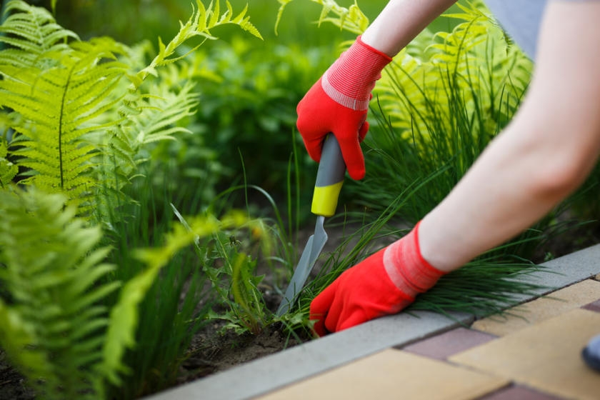 How to Prevent & Kill Weeds
